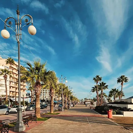 Halcyon * Larnaca