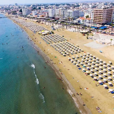 Halcyon * Larnaca
